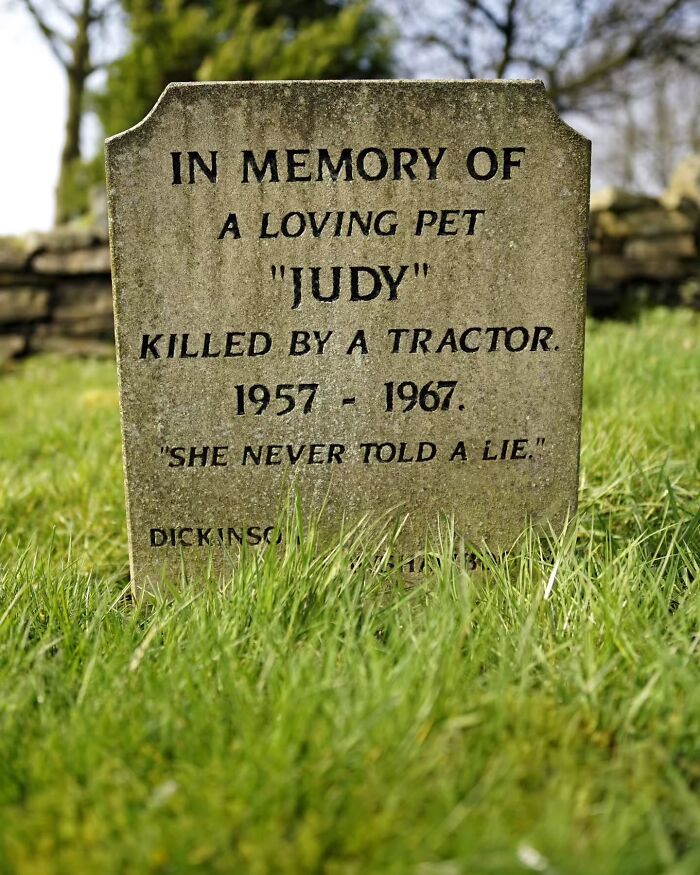 This Photographer Explored Pet Cemeteries Worldwide, Capturing 23 Touching Images Of Pet Graves (New Pics)