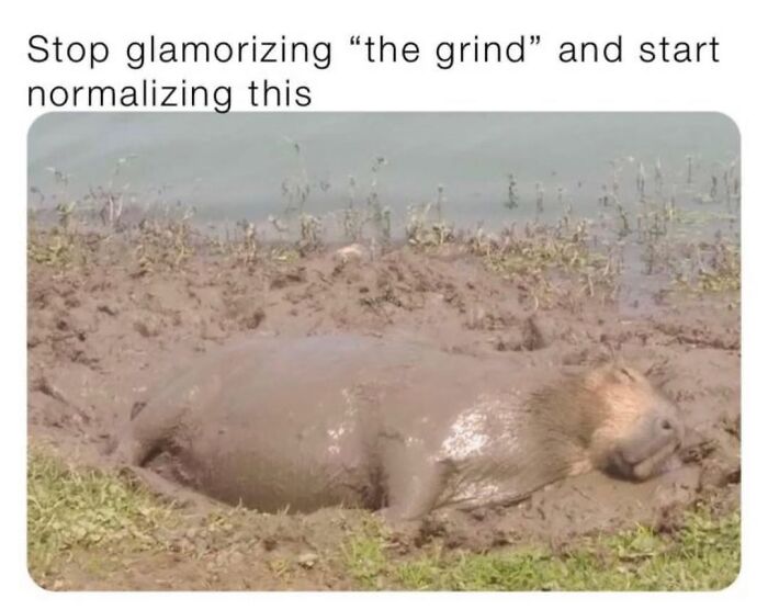 39 Memes Shared By This Page That Show How Cute And Relatable Capybaras Are