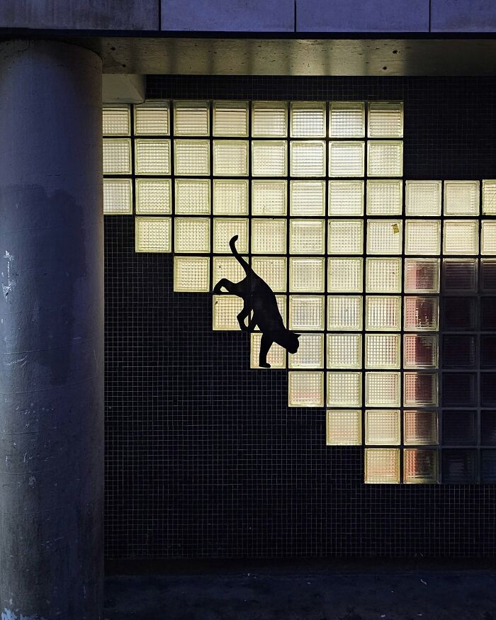 This Artist Turns Cracks And Broken Walls Into Art, 40 Clever Street Interventions By Oakoak (New Pics)