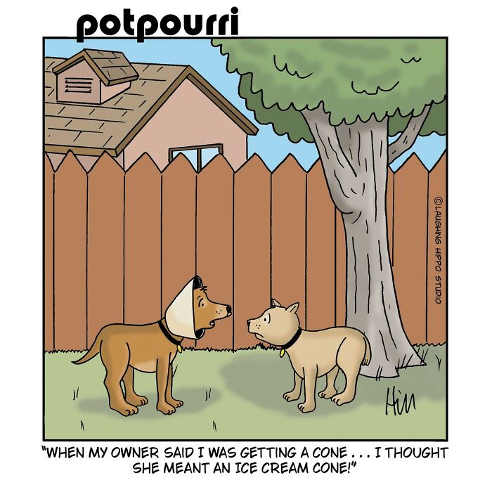 This Artist&rsquo;s 30 Comics That Prove Dogs Are Adorable, Chaotic, And Slightly Unhinged Roommates