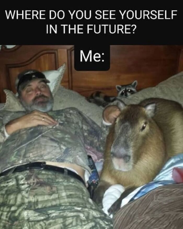 39 Memes Shared By This Page That Show How Cute And Relatable Capybaras Are