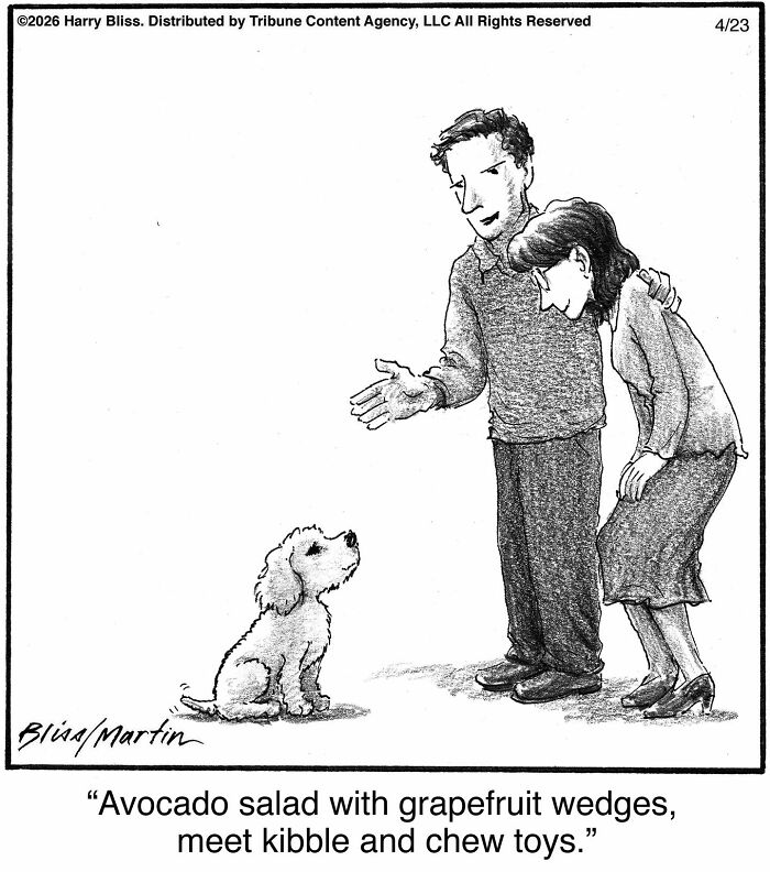 This New Yorker Cartoonist Creates Wholesome And Humorous One-Panel Dog Comics (40 Pics)