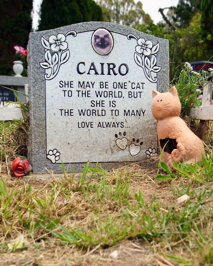 This Photographer Explored Pet Cemeteries Worldwide, Capturing 23 Touching Images Of Pet Graves (New Pics) This Photographer Explored Pet Cemeteries Worldwide, Capturing 23 Touching Images Of Pet Graves (New Pics)