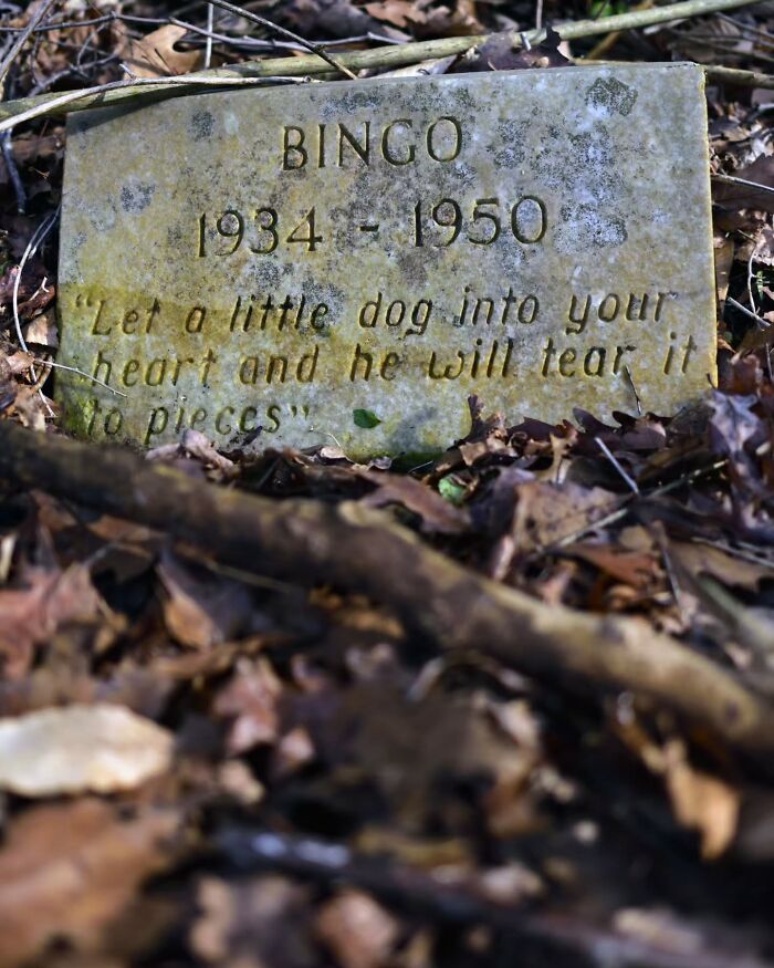 This Photographer Explored Pet Cemeteries Worldwide, Capturing 23 Touching Images Of Pet Graves (New Pics) This Photographer Explored Pet Cemeteries Worldwide, Capturing 23 Touching Images Of Pet Graves (New Pics)