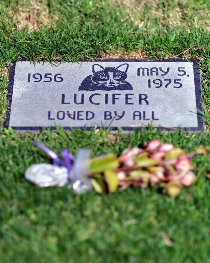 This Photographer Explored Pet Cemeteries Worldwide, Capturing 23 Touching Images Of Pet Graves (New Pics) This Photographer Explored Pet Cemeteries Worldwide, Capturing 23 Touching Images Of Pet Graves (New Pics)