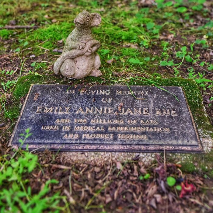 This Photographer Explored Pet Cemeteries Worldwide, Capturing 23 Touching Images Of Pet Graves (New Pics) This Photographer Explored Pet Cemeteries Worldwide, Capturing 23 Touching Images Of Pet Graves (New Pics)