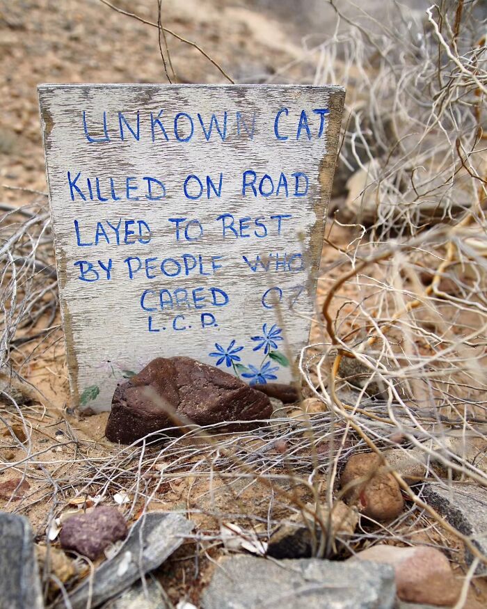 This Photographer Explored Pet Cemeteries Worldwide, Capturing 23 Touching Images Of Pet Graves (New Pics) This Photographer Explored Pet Cemeteries Worldwide, Capturing 23 Touching Images Of Pet Graves (New Pics)