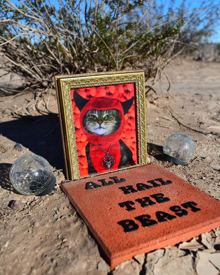 This Photographer Explored Pet Cemeteries Worldwide, Capturing 23 Touching Images Of Pet Graves (New Pics) This Photographer Explored Pet Cemeteries Worldwide, Capturing 23 Touching Images Of Pet Graves (New Pics)