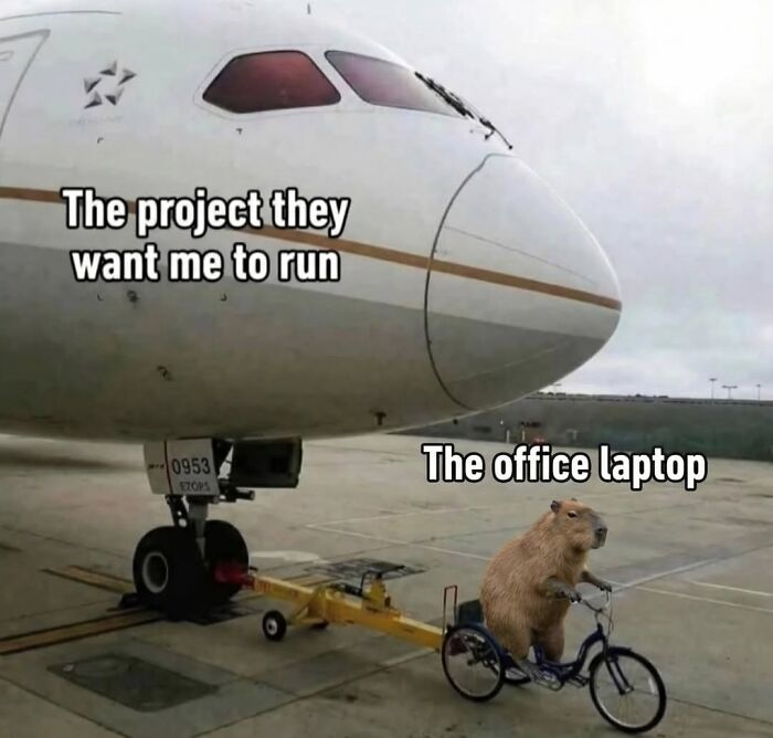 39 Memes Shared By This Page That Show How Cute And Relatable Capybaras Are