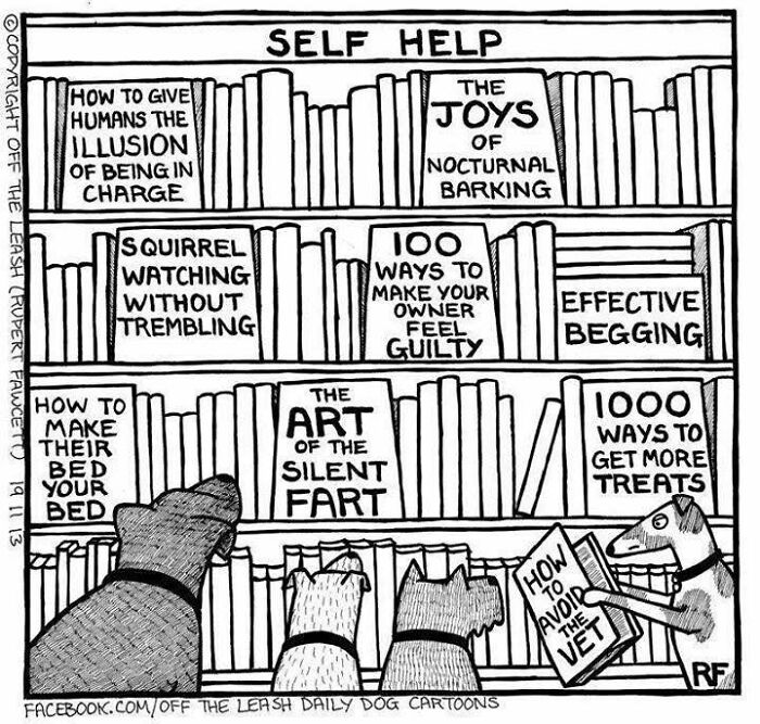 If You&rsquo;re A Dog Owner, These 28 New &ldquo;Off The Leash&rdquo; Cartoons Might Totally Hit Home
