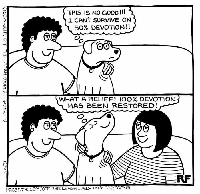 If You&rsquo;re A Dog Owner, These 28 New &ldquo;Off The Leash&rdquo; Cartoons Might Totally Hit Home