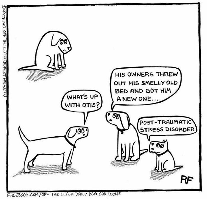 If You&rsquo;re A Dog Owner, These 28 New &ldquo;Off The Leash&rdquo; Cartoons Might Totally Hit Home