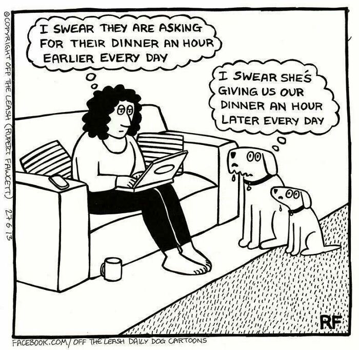 If You&rsquo;re A Dog Owner, These 28 New &ldquo;Off The Leash&rdquo; Cartoons Might Totally Hit Home