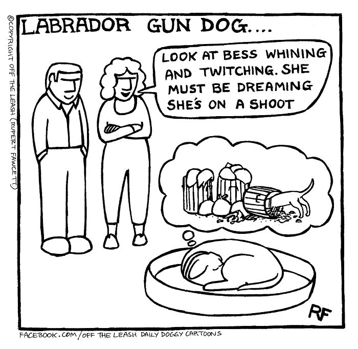 If You&rsquo;re A Dog Owner, These 28 New &ldquo;Off The Leash&rdquo; Cartoons Might Totally Hit Home