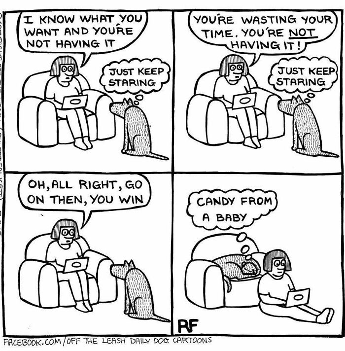 If You&rsquo;re A Dog Owner, These 28 New &ldquo;Off The Leash&rdquo; Cartoons Might Totally Hit Home