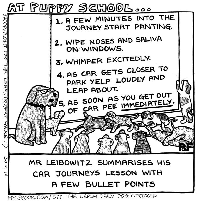 If You&rsquo;re A Dog Owner, These 28 New &ldquo;Off The Leash&rdquo; Cartoons Might Totally Hit Home