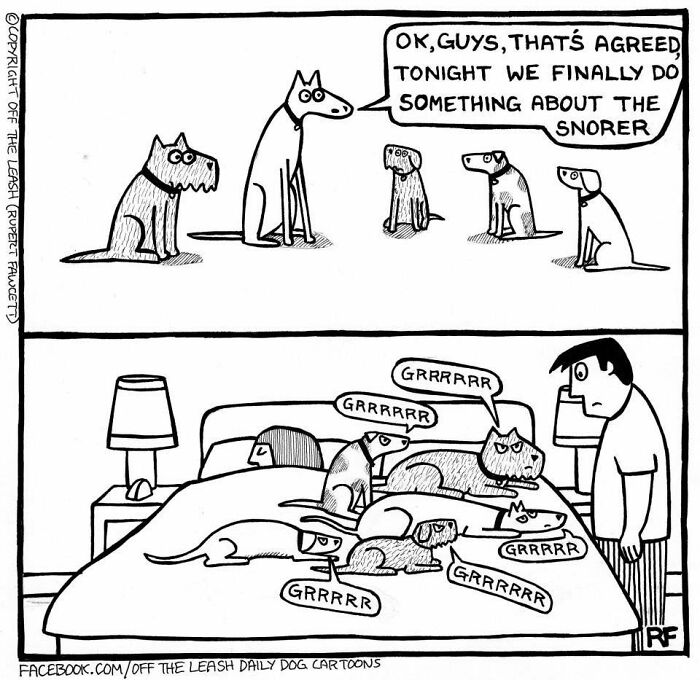 If You&rsquo;re A Dog Owner, These 28 New &ldquo;Off The Leash&rdquo; Cartoons Might Totally Hit Home