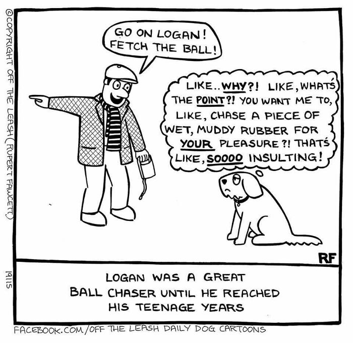 If You&rsquo;re A Dog Owner, These 28 New &ldquo;Off The Leash&rdquo; Cartoons Might Totally Hit Home
