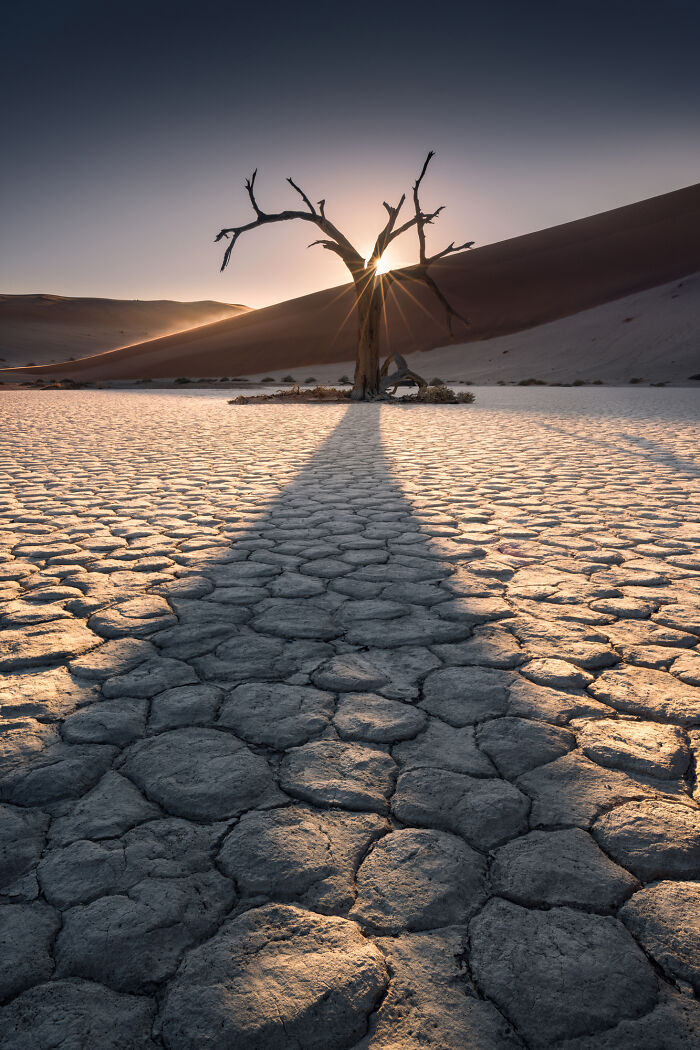 41 New Breathtaking Nature Photos By Karol Nienartowicz That Showcase The Beauty Of The World 41 New Breathtaking Nature Photos By Karol Nienartowicz That Showcase The Beauty Of The World