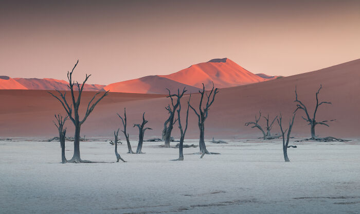 41 New Breathtaking Nature Photos By Karol Nienartowicz That Showcase The Beauty Of The World 41 New Breathtaking Nature Photos By Karol Nienartowicz That Showcase The Beauty Of The World