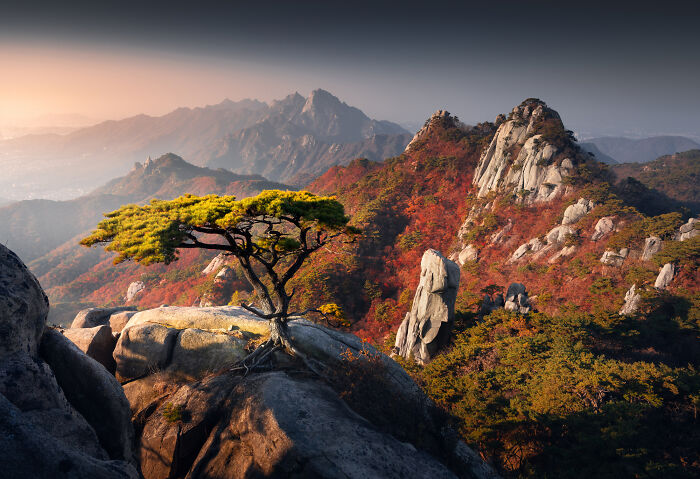41 New Breathtaking Nature Photos By Karol Nienartowicz That Showcase The Beauty Of The World 41 New Breathtaking Nature Photos By Karol Nienartowicz That Showcase The Beauty Of The World