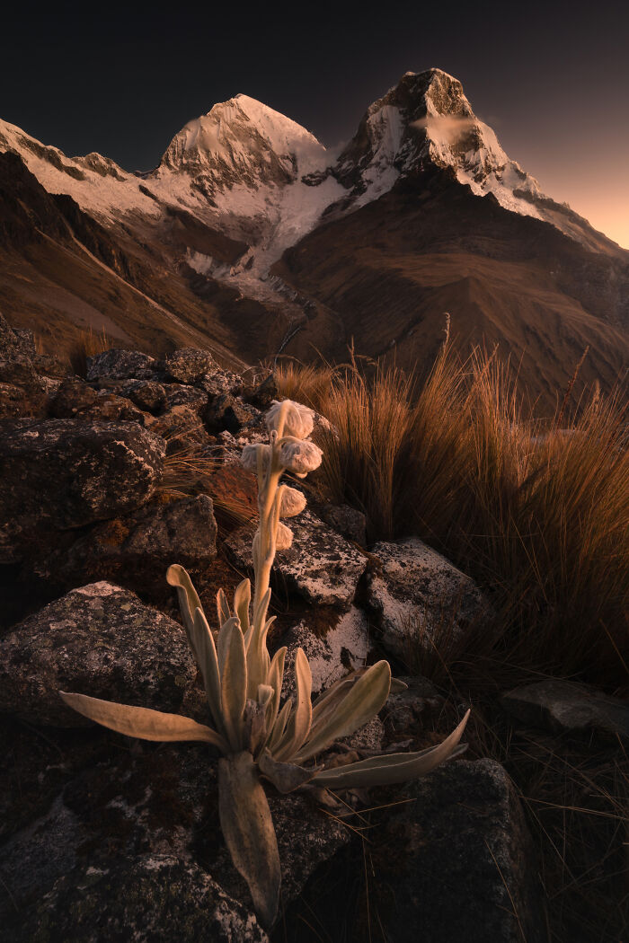 41 New Breathtaking Nature Photos By Karol Nienartowicz That Showcase The Beauty Of The World 41 New Breathtaking Nature Photos By Karol Nienartowicz That Showcase The Beauty Of The World