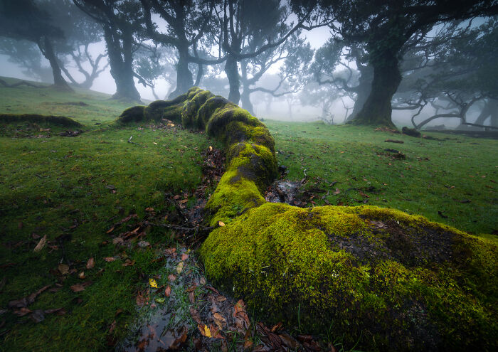 41 New Breathtaking Nature Photos By Karol Nienartowicz That Showcase The Beauty Of The World 41 New Breathtaking Nature Photos By Karol Nienartowicz That Showcase The Beauty Of The World