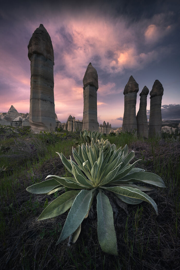 41 New Breathtaking Nature Photos By Karol Nienartowicz That Showcase The Beauty Of The World 41 New Breathtaking Nature Photos By Karol Nienartowicz That Showcase The Beauty Of The World