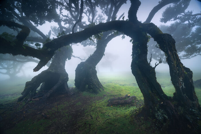 41 New Breathtaking Nature Photos By Karol Nienartowicz That Showcase The Beauty Of The World 41 New Breathtaking Nature Photos By Karol Nienartowicz That Showcase The Beauty Of The World