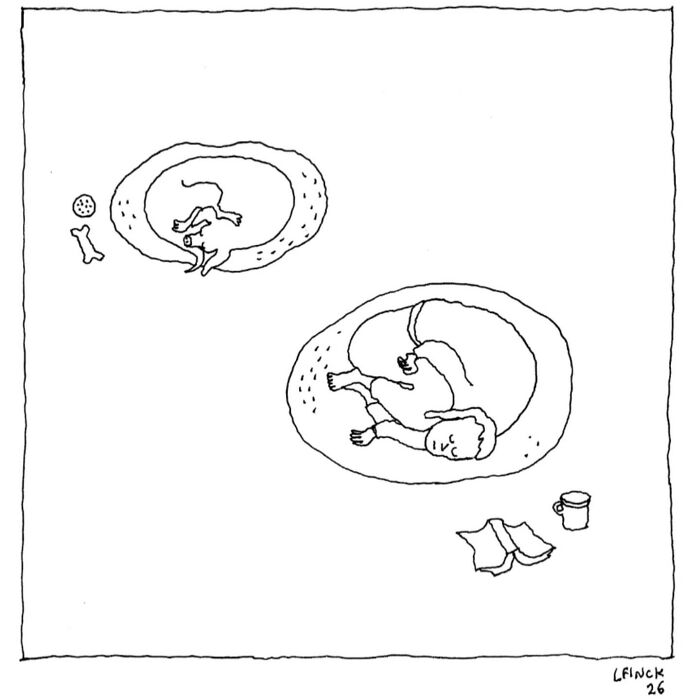 40 Relatable Cartoons By New Yorker Cartoonist That Perfectly Capture The Weirdness Of Being Human