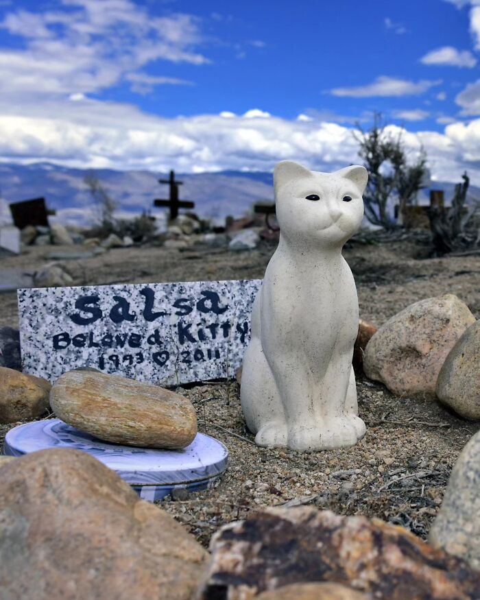 This Photographer Explored Pet Cemeteries Worldwide, Capturing 23 Touching Images Of Pet Graves (New Pics) This Photographer Explored Pet Cemeteries Worldwide, Capturing 23 Touching Images Of Pet Graves (New Pics)