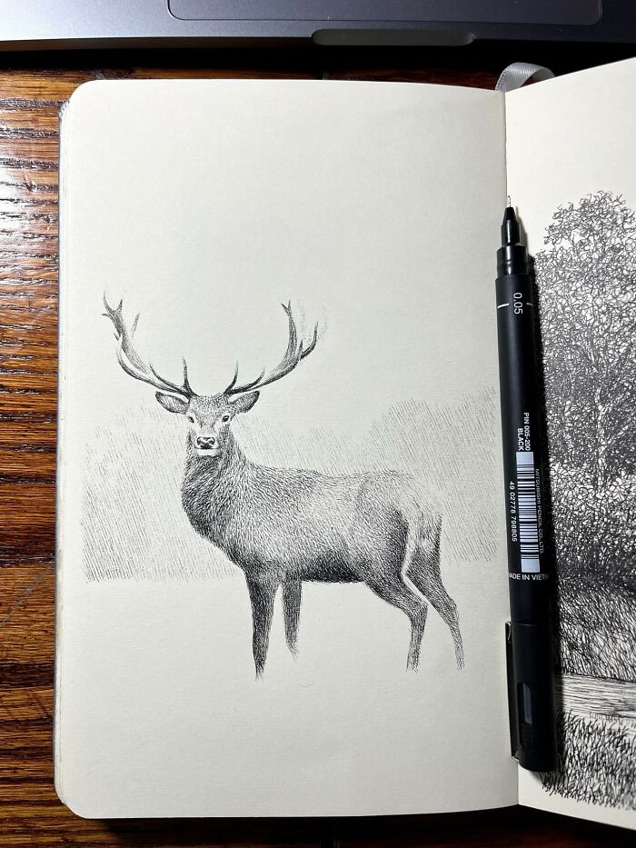 40 Detailed Ink Sketches By This Artist That Feel Like Tiny Worlds On Paper