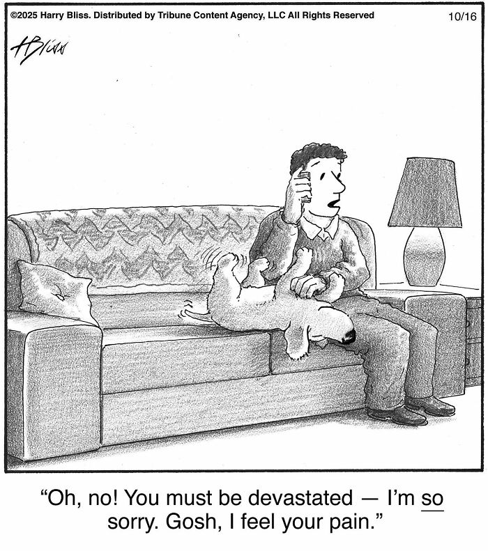 This New Yorker Cartoonist Creates Wholesome And Humorous One-Panel Dog Comics (40 Pics) This New Yorker Cartoonist Creates Wholesome And Humorous One-Panel Dog Comics (40 Pics)