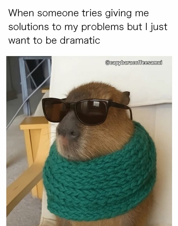 39 Memes Shared By This Page That Show How Cute And Relatable Capybaras Are
