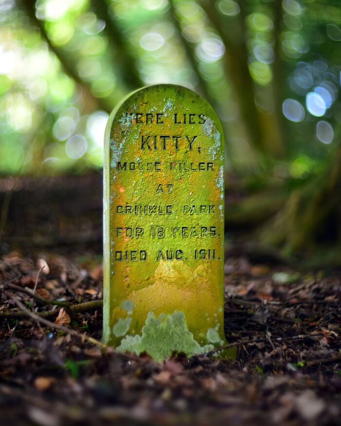 This Photographer Explored Pet Cemeteries Worldwide, Capturing 23 Touching Images Of Pet Graves (New Pics) This Photographer Explored Pet Cemeteries Worldwide, Capturing 23 Touching Images Of Pet Graves (New Pics)