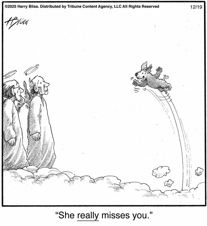 This New Yorker Cartoonist Creates Wholesome And Humorous One-Panel Dog Comics (40 Pics) This New Yorker Cartoonist Creates Wholesome And Humorous One-Panel Dog Comics (40 Pics)