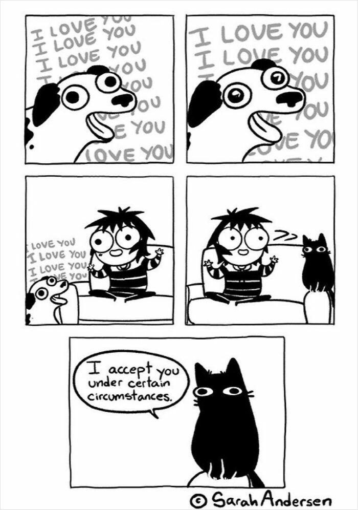65 Most Popular Sarah Andersen Comics That Perfectly Sum Up Life As An Adult 65 Most Popular Sarah Andersen Comics That Perfectly Sum Up Life As An Adult