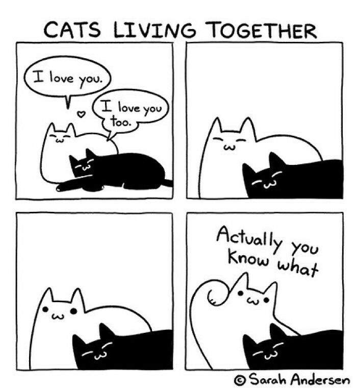 65 Most Popular Sarah Andersen Comics That Perfectly Sum Up Life As An Adult 65 Most Popular Sarah Andersen Comics That Perfectly Sum Up Life As An Adult
