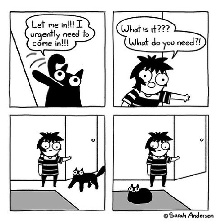 65 Most Popular Sarah Andersen Comics That Perfectly Sum Up Life As An Adult 65 Most Popular Sarah Andersen Comics That Perfectly Sum Up Life As An Adult