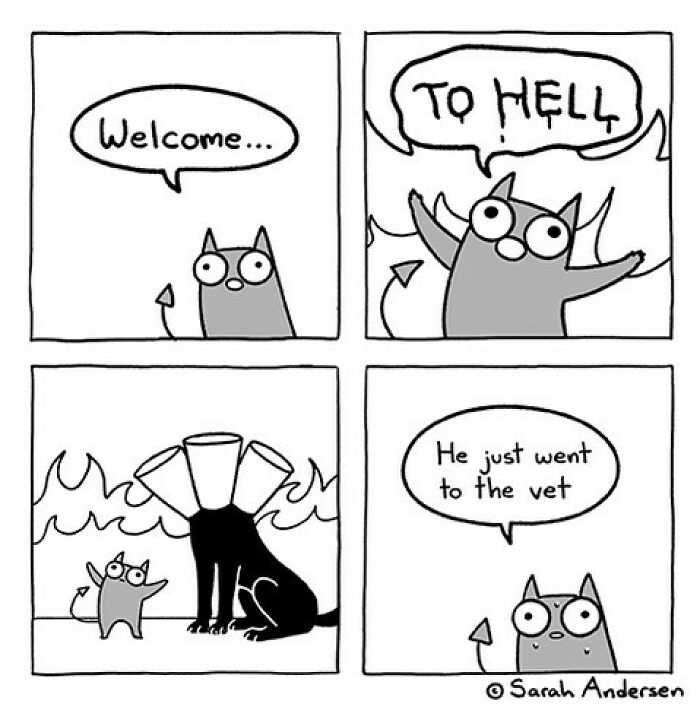 65 Most Popular Sarah Andersen Comics That Perfectly Sum Up Life As An Adult 65 Most Popular Sarah Andersen Comics That Perfectly Sum Up Life As An Adult