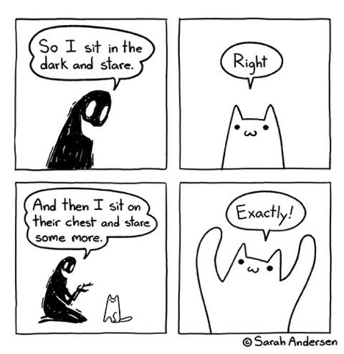65 Most Popular Sarah Andersen Comics That Perfectly Sum Up Life As An Adult 65 Most Popular Sarah Andersen Comics That Perfectly Sum Up Life As An Adult