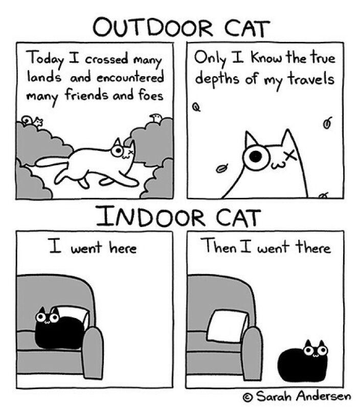 65 Most Popular Sarah Andersen Comics That Perfectly Sum Up Life As An Adult 65 Most Popular Sarah Andersen Comics That Perfectly Sum Up Life As An Adult