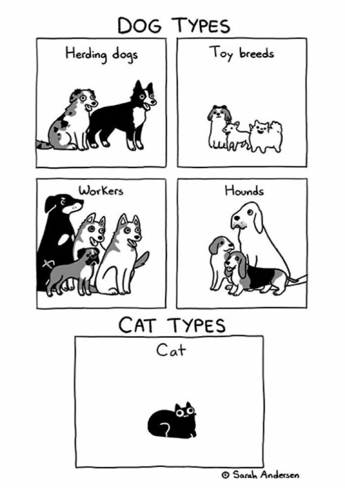 65 Most Popular Sarah Andersen Comics That Perfectly Sum Up Life As An Adult 65 Most Popular Sarah Andersen Comics That Perfectly Sum Up Life As An Adult