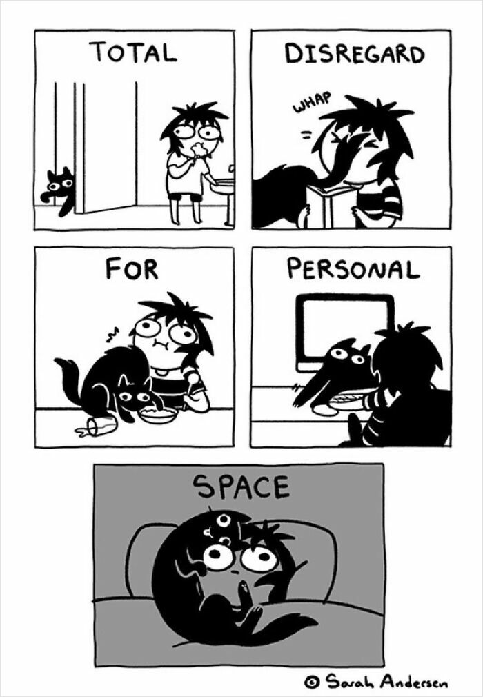 65 Most Popular Sarah Andersen Comics That Perfectly Sum Up Life As An Adult 65 Most Popular Sarah Andersen Comics That Perfectly Sum Up Life As An Adult