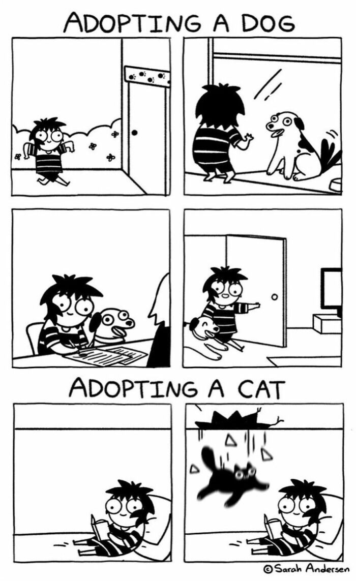 65 Most Popular Sarah Andersen Comics That Perfectly Sum Up Life As An Adult 65 Most Popular Sarah Andersen Comics That Perfectly Sum Up Life As An Adult