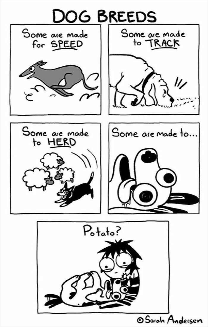 65 Most Popular Sarah Andersen Comics That Perfectly Sum Up Life As An Adult 65 Most Popular Sarah Andersen Comics That Perfectly Sum Up Life As An Adult