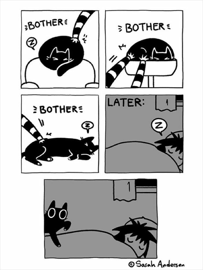 65 Most Popular Sarah Andersen Comics That Perfectly Sum Up Life As An Adult 65 Most Popular Sarah Andersen Comics That Perfectly Sum Up Life As An Adult