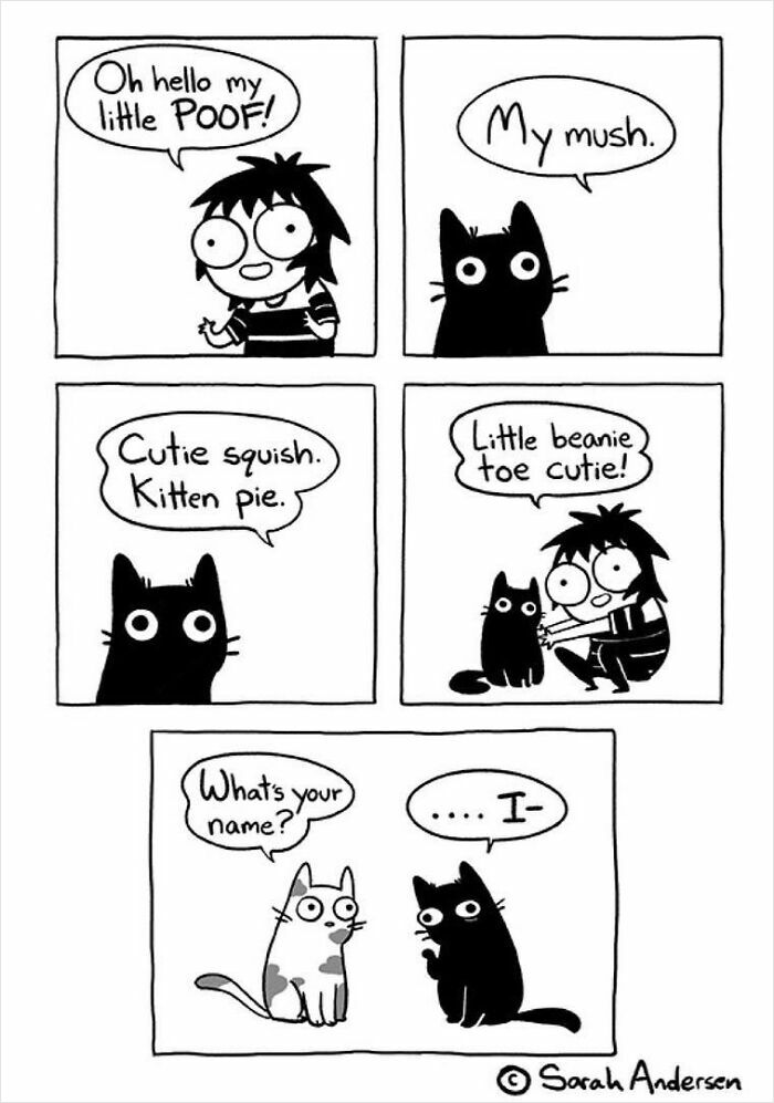 65 Most Popular Sarah Andersen Comics That Perfectly Sum Up Life As An Adult 65 Most Popular Sarah Andersen Comics That Perfectly Sum Up Life As An Adult