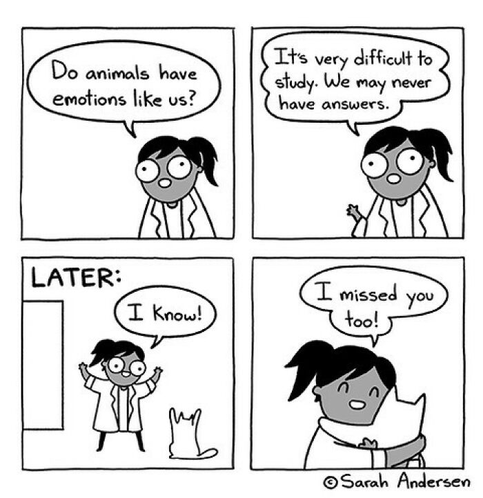 65 Most Popular Sarah Andersen Comics That Perfectly Sum Up Life As An Adult 65 Most Popular Sarah Andersen Comics That Perfectly Sum Up Life As An Adult