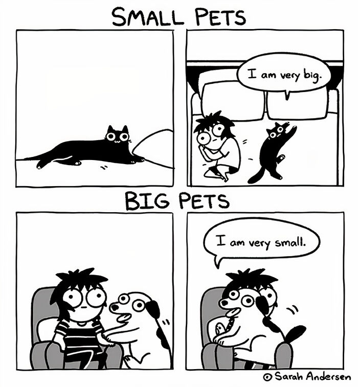 65 Most Popular Sarah Andersen Comics That Perfectly Sum Up Life As An Adult 65 Most Popular Sarah Andersen Comics That Perfectly Sum Up Life As An Adult